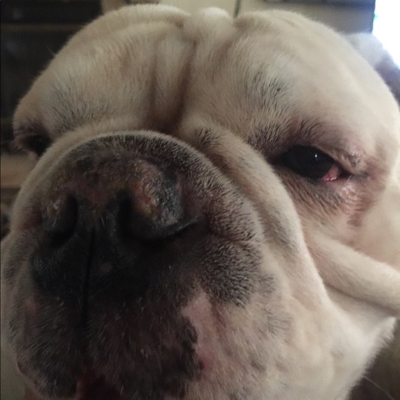 Meet your Posher, Angie - Picture 6 of 6